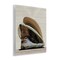 Stupell Industries Cowboy Gear on Beige Wall Plaque Art Design by Renel Peters
